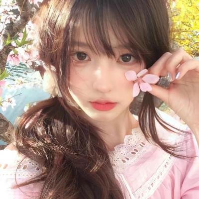 蔷薇处处香